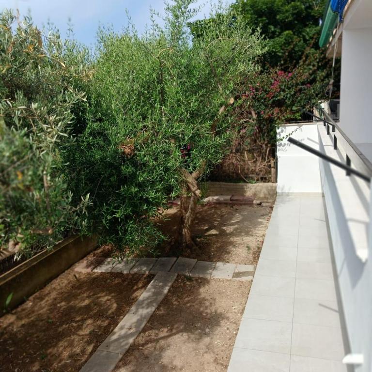 Villa dei Pini - Casa con 3 Camere da Letto - 3