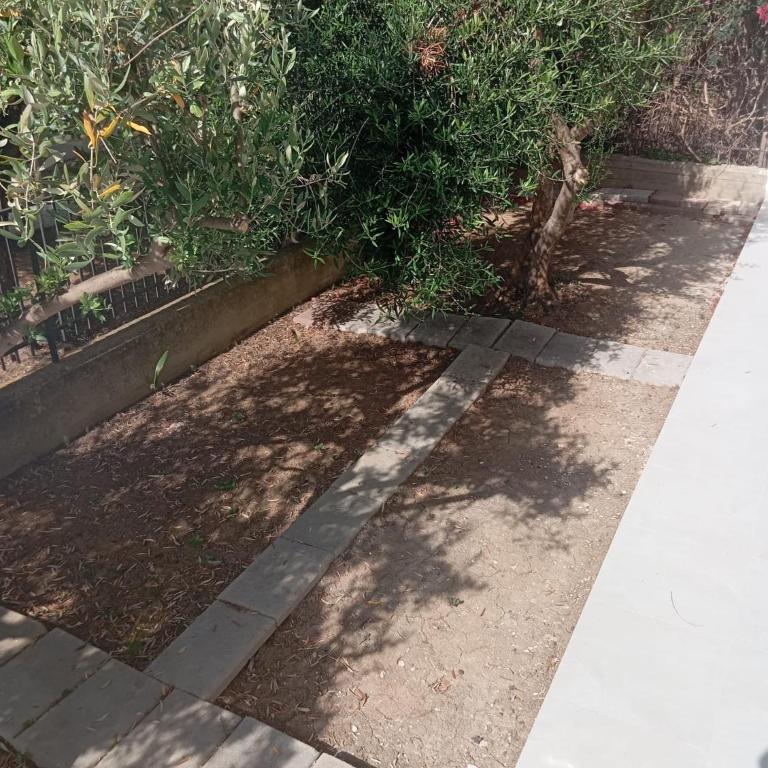 Villa dei Pini - Casa con 3 Camere da Letto - 22