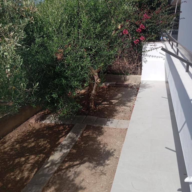 Villa dei Pini - Casa con 3 Camere da Letto - 33