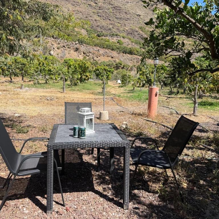 Finca Nim 2 - Villa con Vista Giardino - 12
