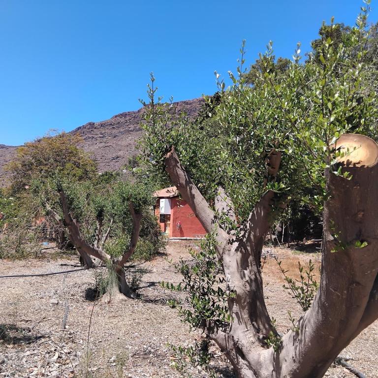 Finca Nim 2 - Villa con Vista Giardino - 23