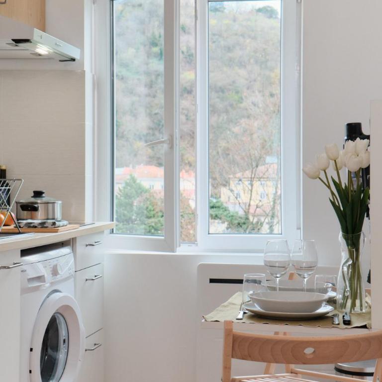 cute 2-room apartment, Vienne entrance, parking at the foot - Appartement 1 Chambre - 13