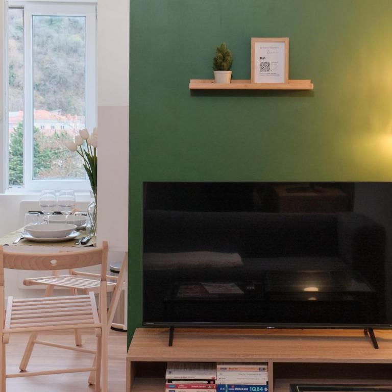 cute 2-room apartment, Vienne entrance, parking at the foot - Appartement 1 Chambre - 17