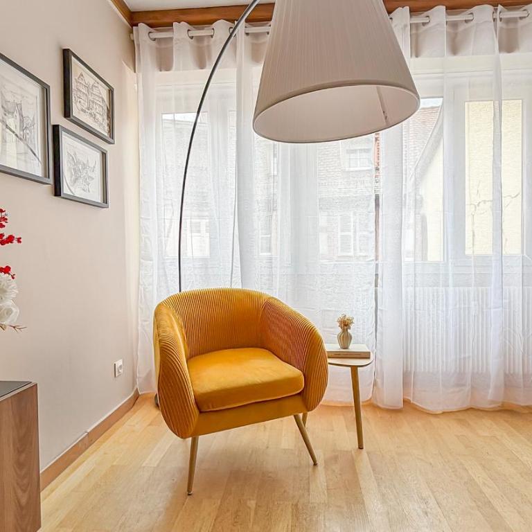 T2 rénové Cœur historique de Colmar - Appartement 1 Chambre - 10