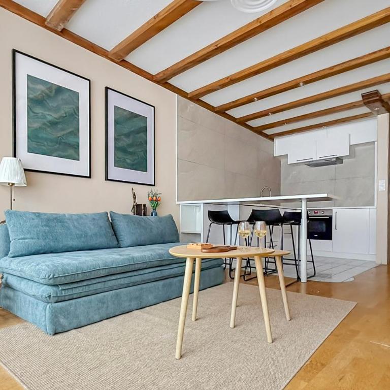 T2 rénové Cœur historique de Colmar - Appartement 1 Chambre - 14