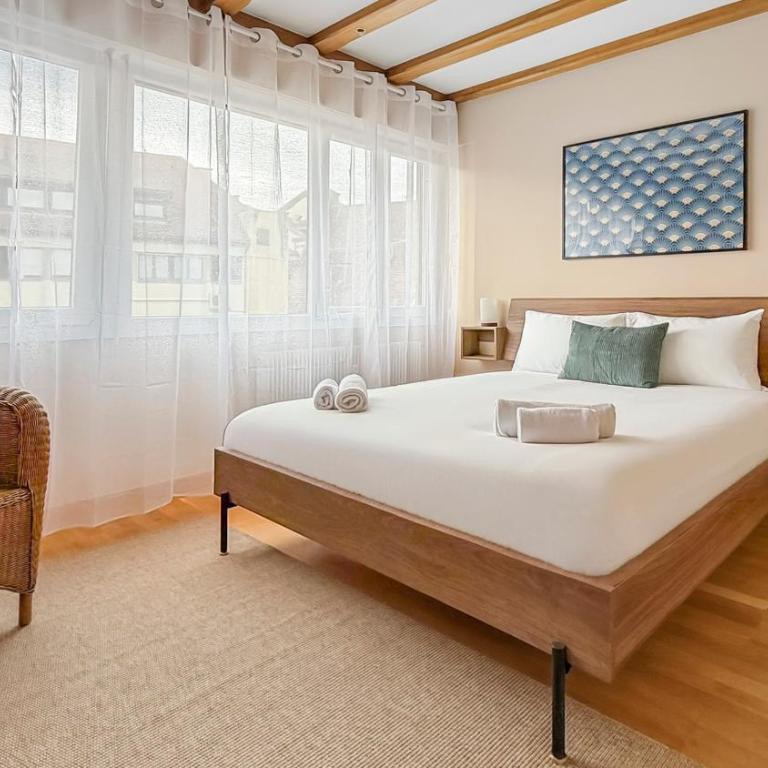 T2 rénové Cœur historique de Colmar - Appartement 1 Chambre - 17