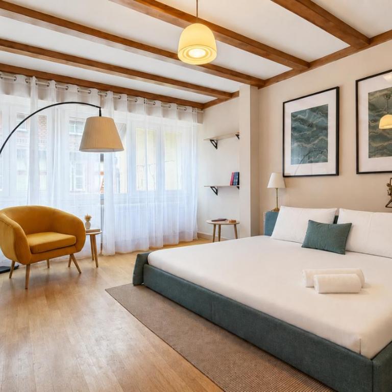 T2 rénové Cœur historique de Colmar - Appartement 1 Chambre - 19