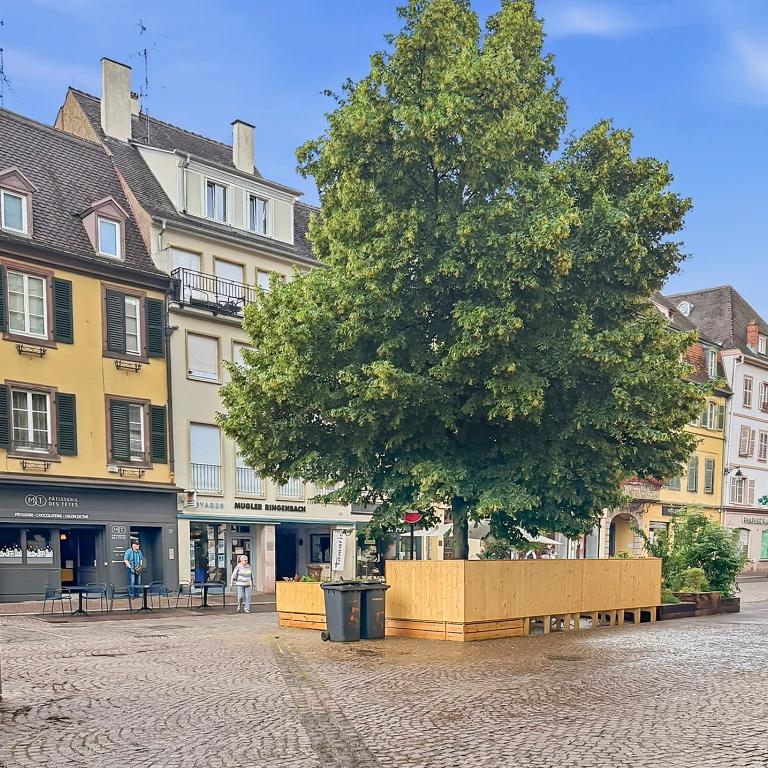 T2 rénové Cœur historique de Colmar - Appartement 1 Chambre - 27