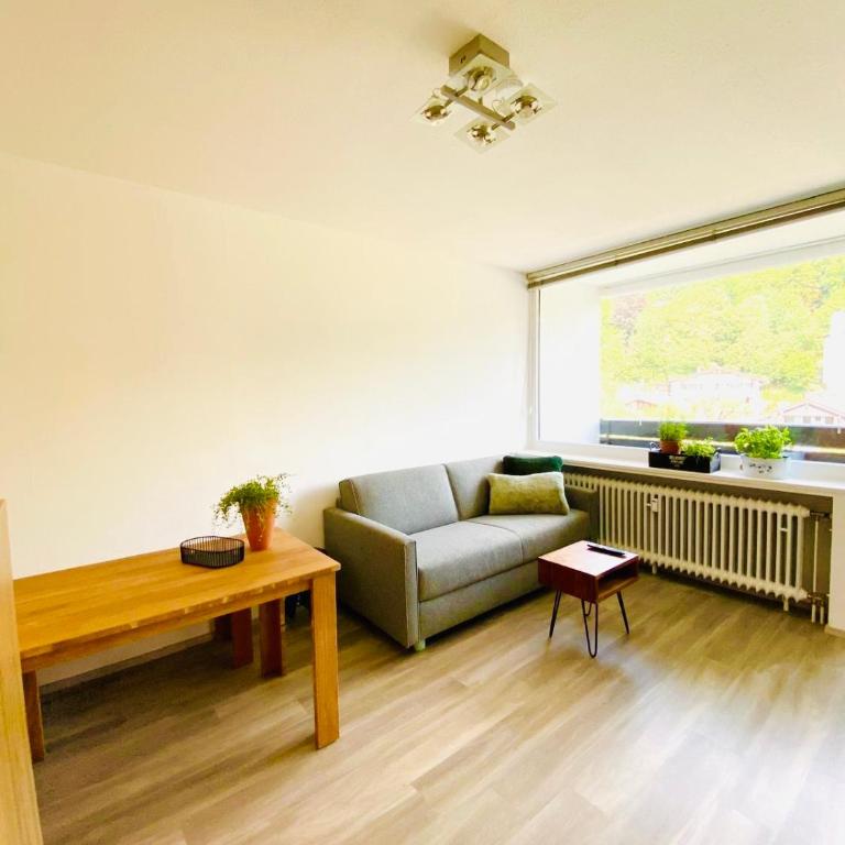 Panorama-Glück I & III - One-Bedroom Apartment with Balcony and Mountain View - 8