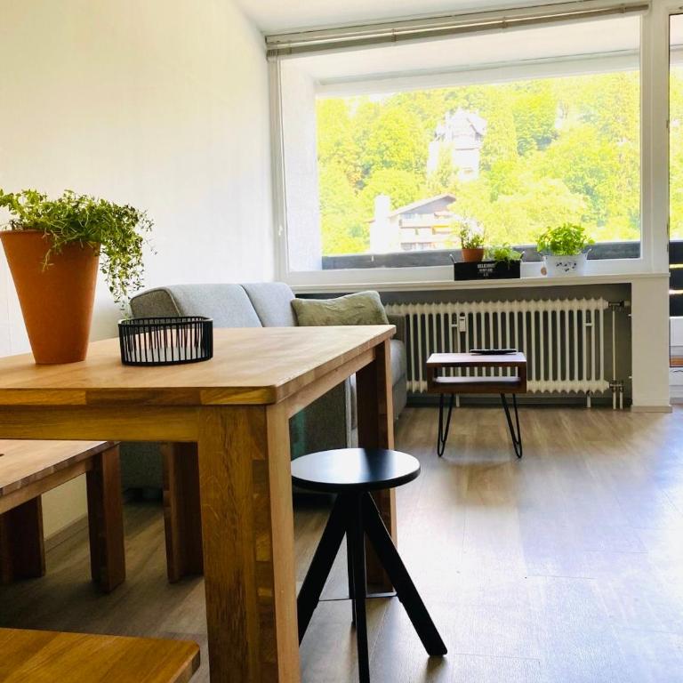 Panorama-Glück I & III - One-Bedroom Apartment with Balcony and Mountain View - 14