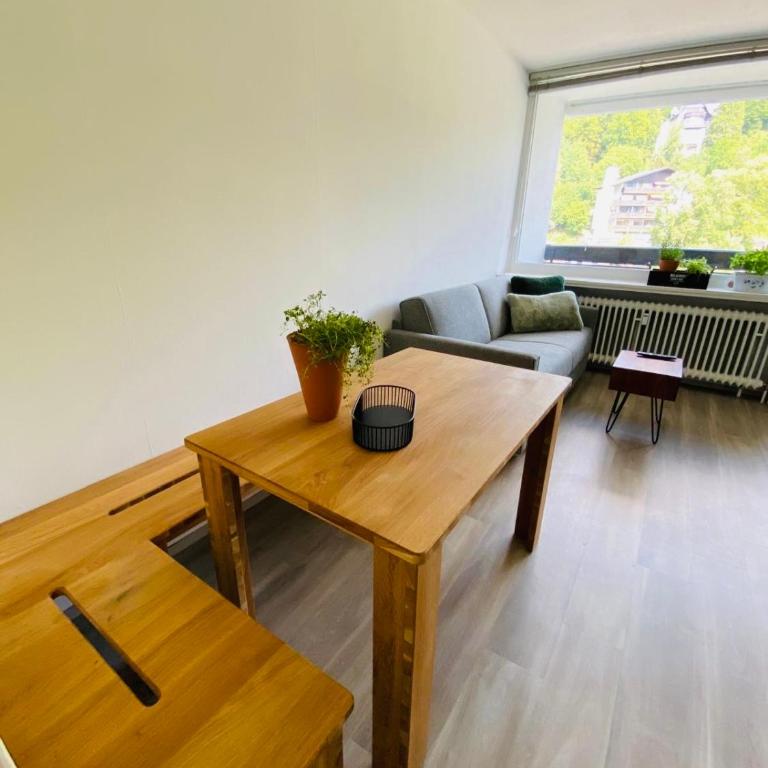 Panorama-Glück I & III - One-Bedroom Apartment with Balcony and Mountain View - 29