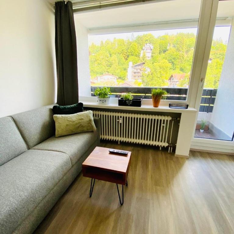 Panorama-Glück I & III - One-Bedroom Apartment with Balcony and Mountain View - 40