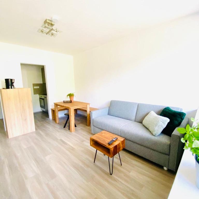 Panorama-Glück I & III - One-Bedroom Apartment with Balcony and Mountain View - 41