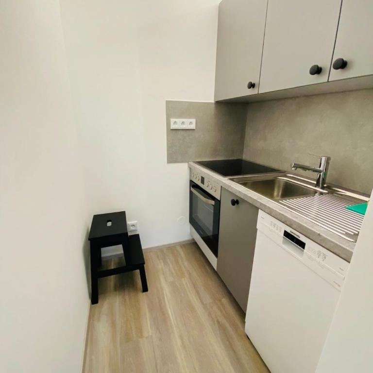 Panorama-Glück I & III - One-Bedroom Apartment with Balcony and Mountain View - 43