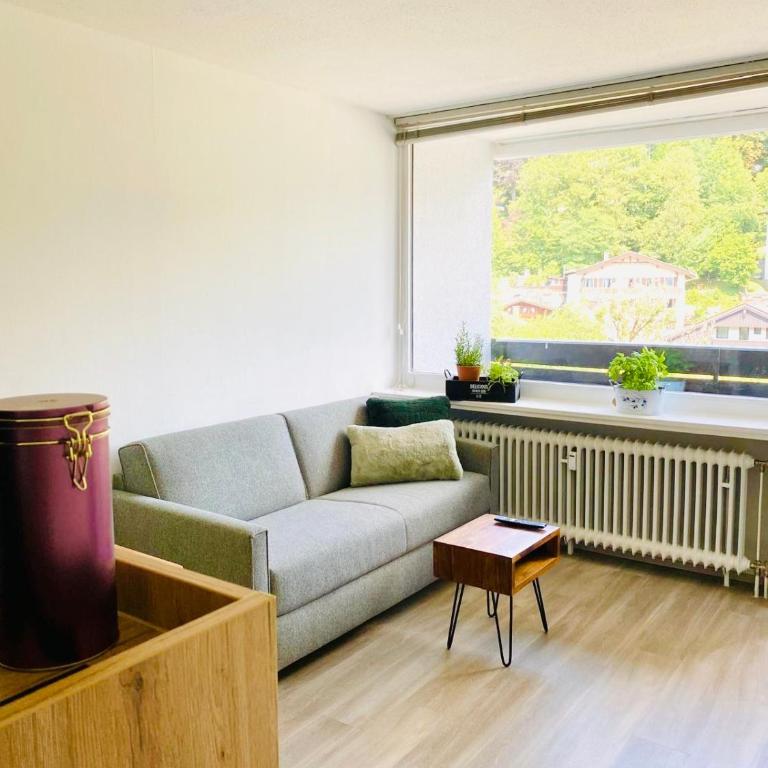 Panorama-Glück I & III - One-Bedroom Apartment with Balcony and Mountain View - 44