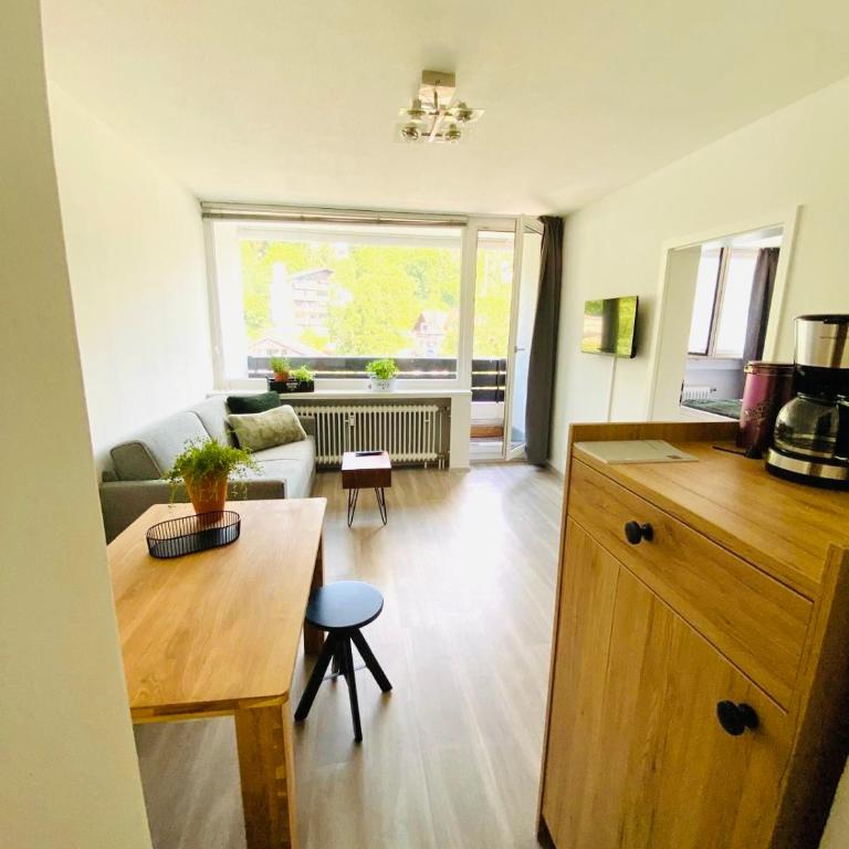 Panorama-Glück I & III - One-Bedroom Apartment with Balcony and Mountain View - 2