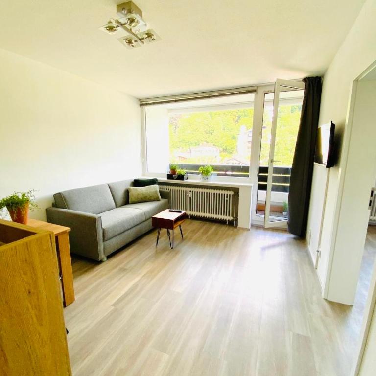 Panorama-Glück I & III - One-Bedroom Apartment with Balcony and Mountain View - 52