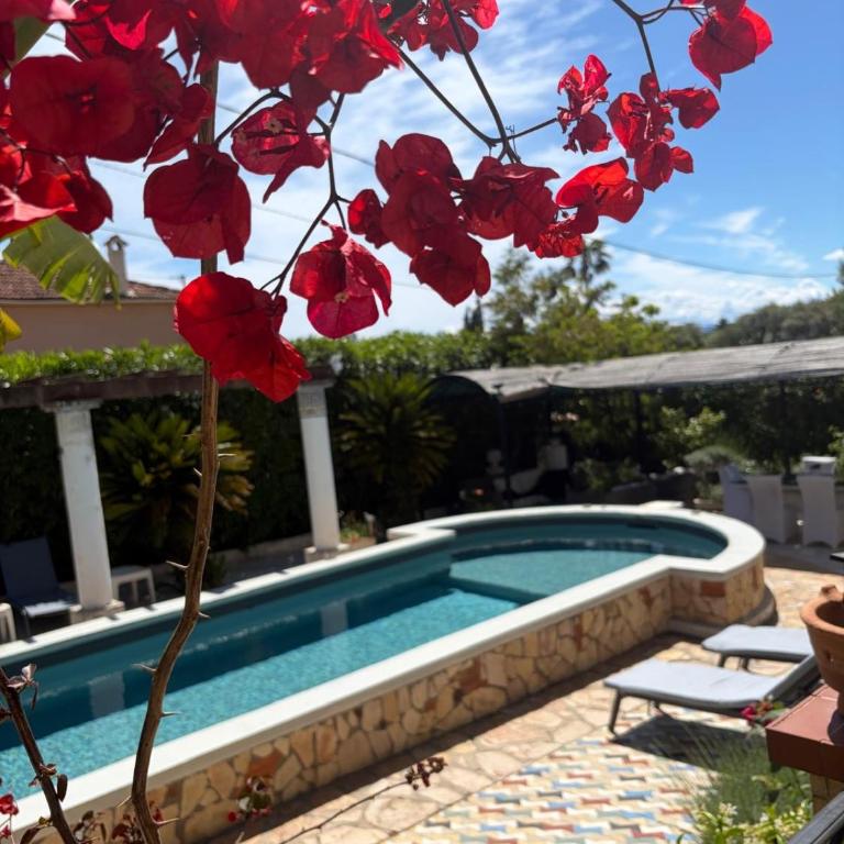 Très beau Studio lumineux dans Villa avec piscine - Appartement 2 Chambres - Vue sur Piscine - 1