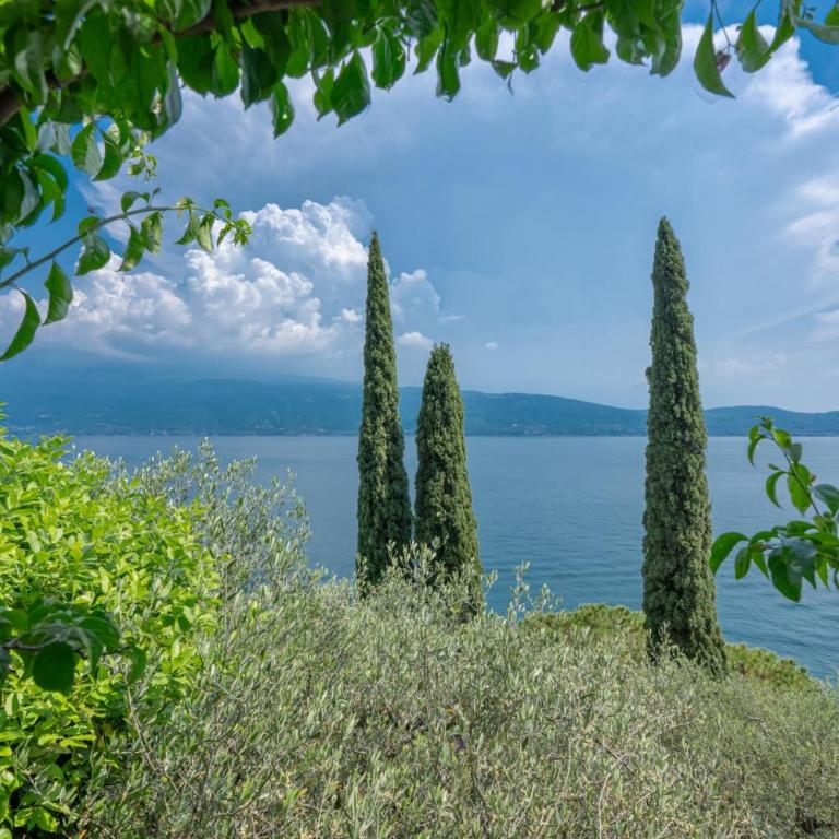 Tre Cipressi, ancient limonaia with lake access - Casa Vacanze - 59