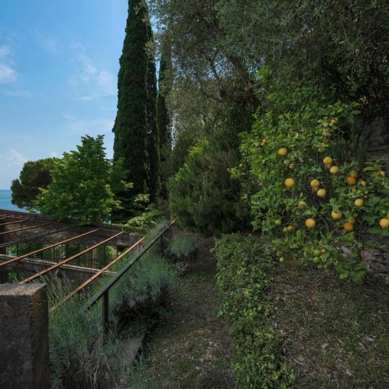 Tre Cipressi, ancient limonaia with lake access - Casa Vacanze - 53
