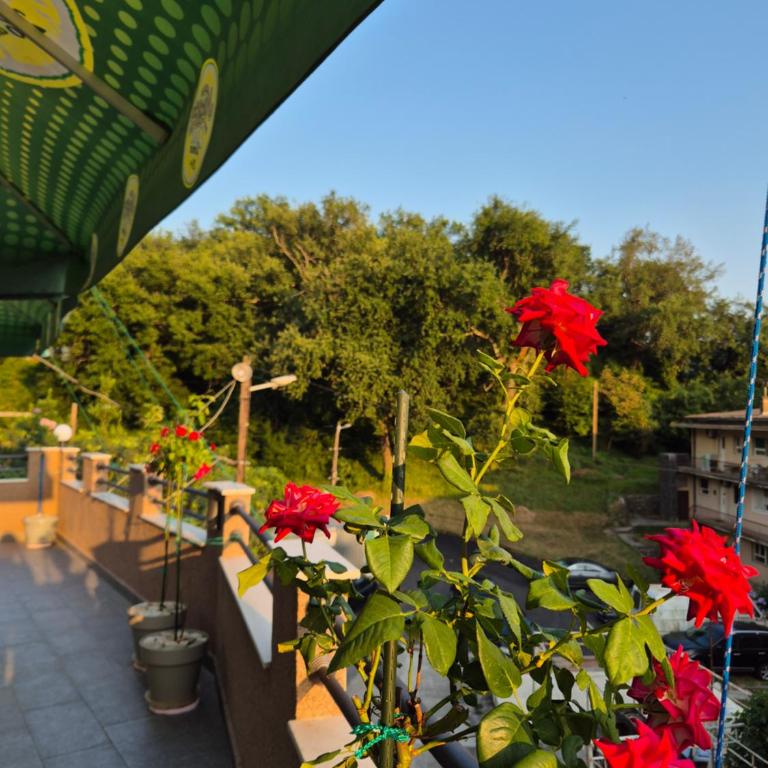 Apartmani MILOVIC - Deluks Porodični Apartman Tipa "Suite" - 2