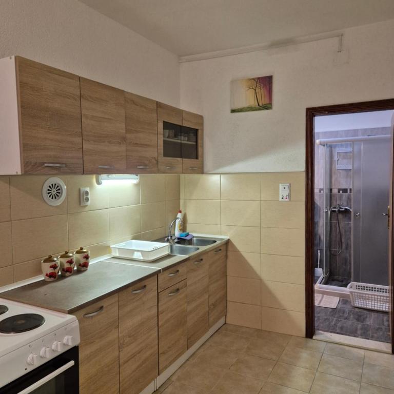 Apartmani MILOVIC - Deluks Porodični Apartman Tipa "Suite" - 5