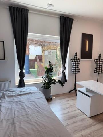 Wohnstudio Millstatt - Studio mit Kingsize-Bett und Schlafsofa - 16