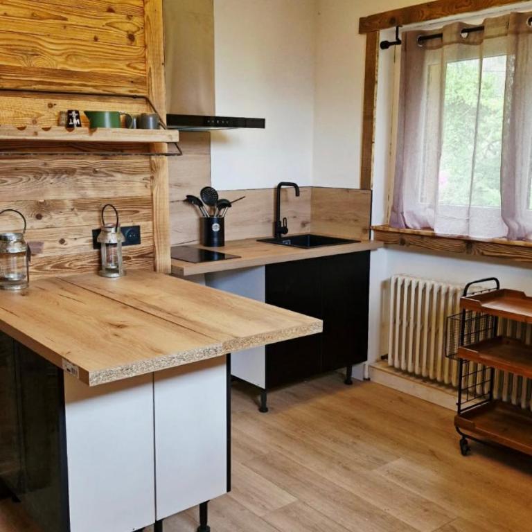 les loges de l'Arpenaz - Appartement 1 Chambre avec Balcon et Vue sur les Montagnes - 4
