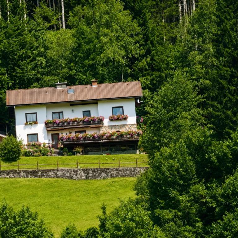 Ferienwohnung im Nationalpark Gesäuse - Apartment mit 1 Schlafzimmer - 1