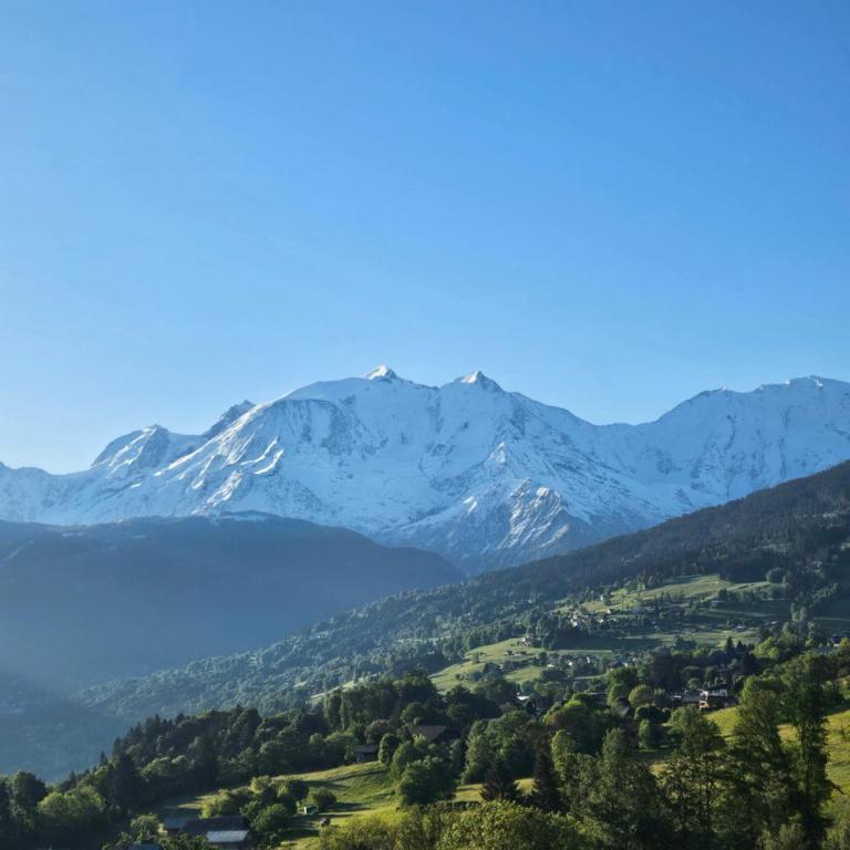 Les Praz d'Arvillon Mont Blanc View Combloux - Appartement avec Vue - 38