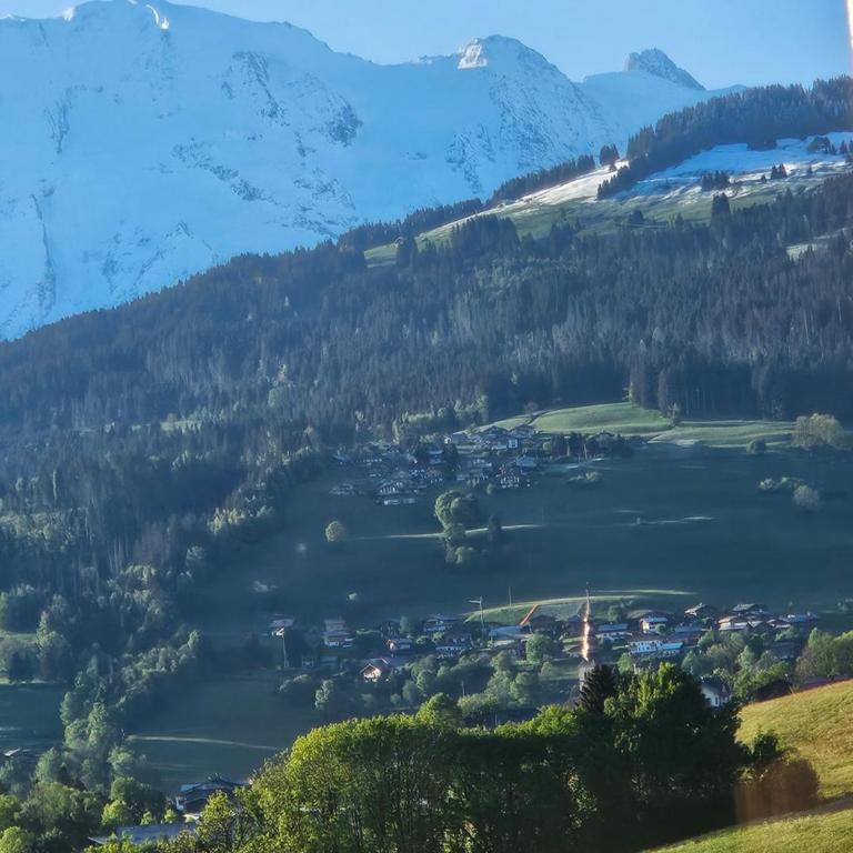 Les Praz d'Arvillon Mont Blanc View Combloux - Appartement avec Vue - 37