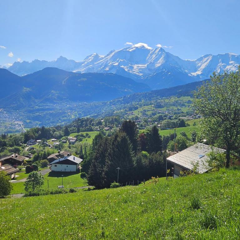 Les Praz d'Arvillon Mont Blanc View Combloux - Appartement avec Vue - 41
