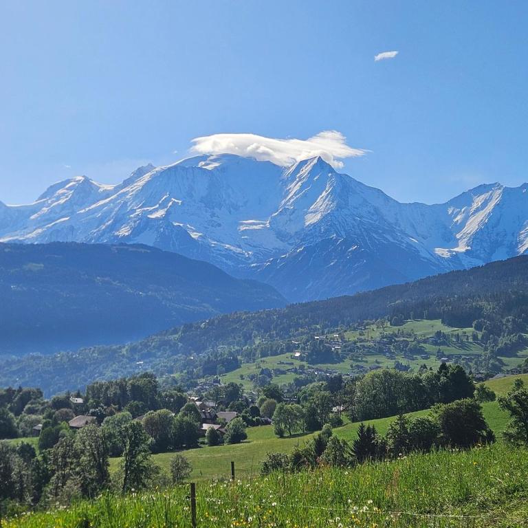 Les Praz d'Arvillon Mont Blanc View Combloux - Appartement avec Vue - 39