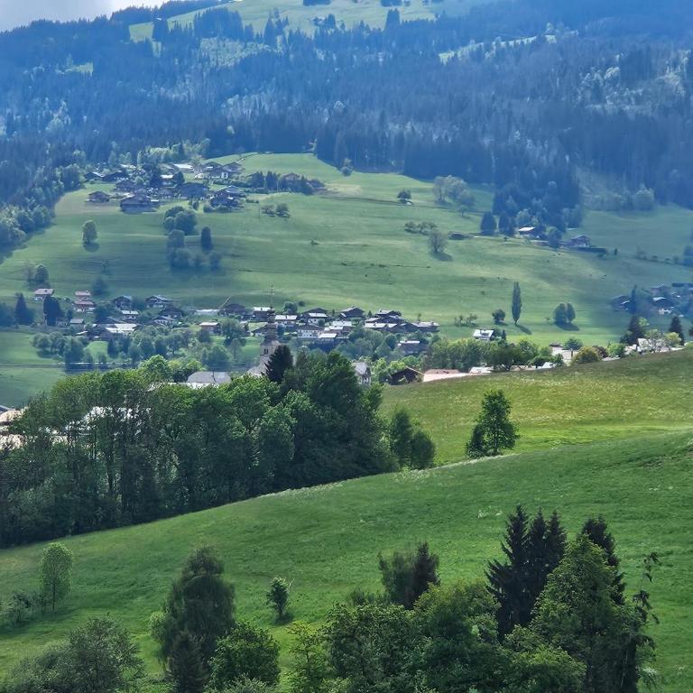 Les Praz d'Arvillon Mont Blanc View Combloux - Appartement avec Vue - 46