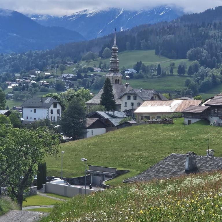 Les Praz d'Arvillon Mont Blanc View Combloux - Appartement avec Vue - 48