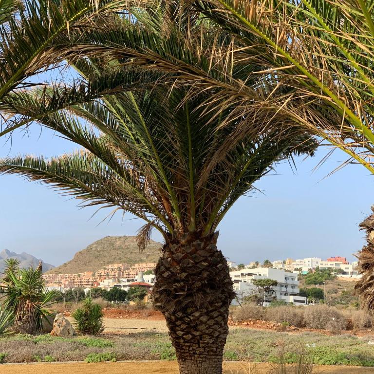 Panoramic Atalaya - Apartment mit 3 Schlafzimmern - 24