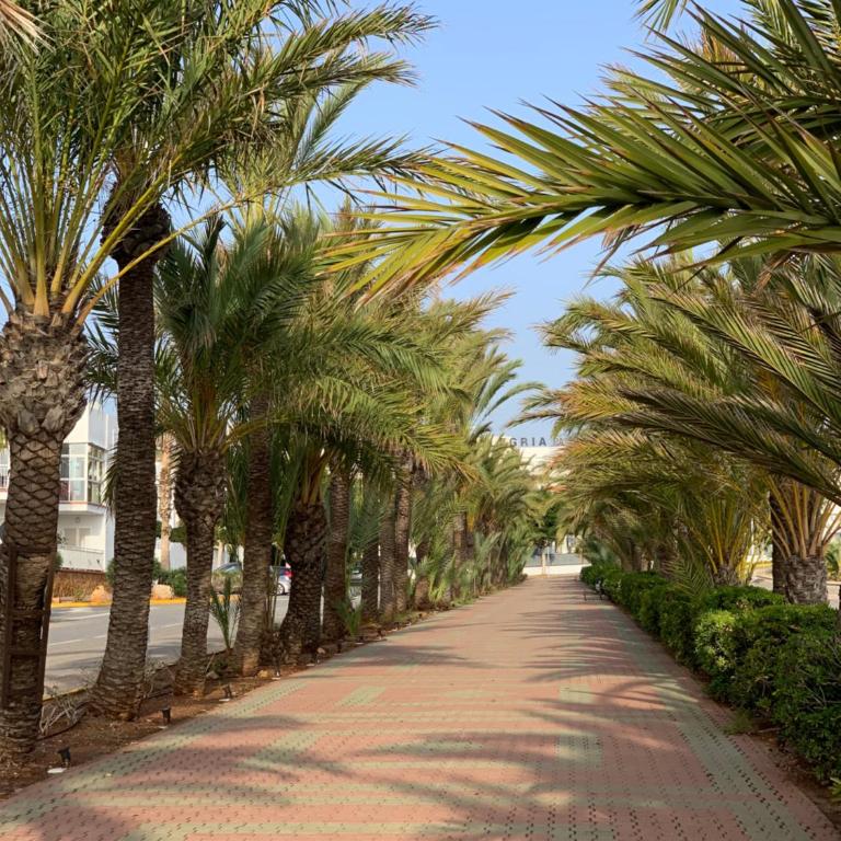 Panoramic Atalaya - Apartment mit 3 Schlafzimmern - 26