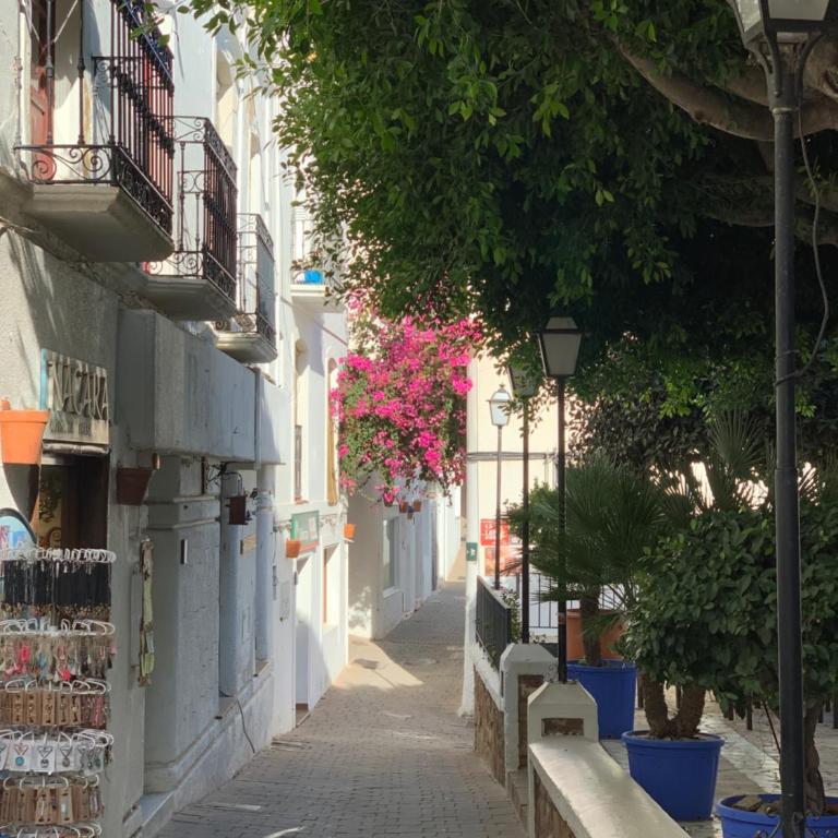 Panoramic Atalaya - Apartment mit 3 Schlafzimmern - 53