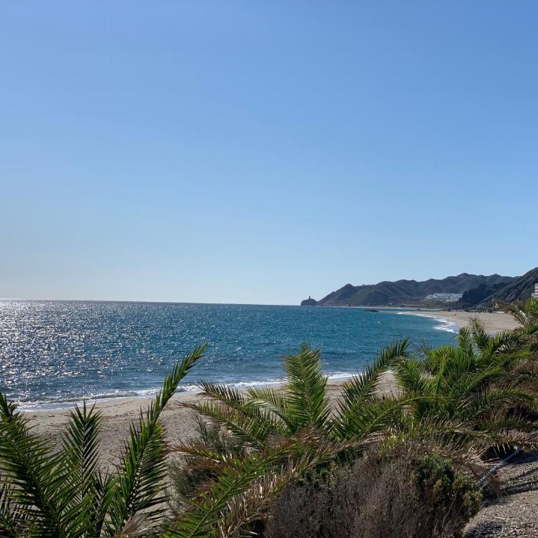 Panoramic Atalaya - Apartment mit 3 Schlafzimmern - 40