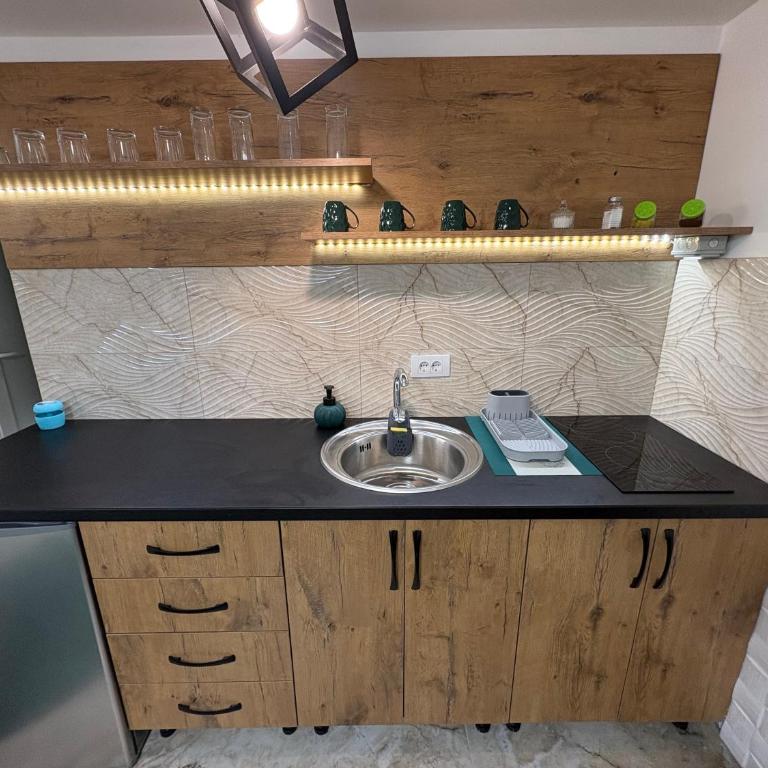 Studio Apartmani Milanovic - Deluks Dvokrevetni Studio sa Bračnim Krevetom - 11