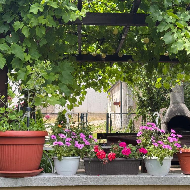 Apartments FAMILY & FRIENDS -free parking - Two-Bedroom Suite - 5