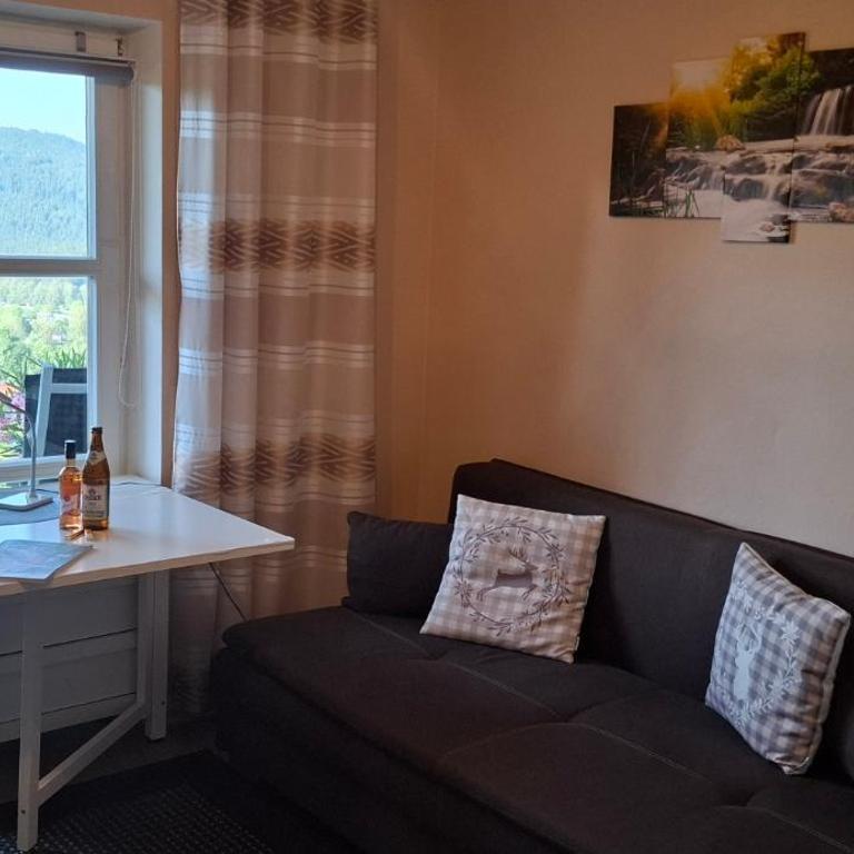Ferienwohnung Apartment Harlachbergblick 2 Activ Card - One-Bedroom Apartment - 12