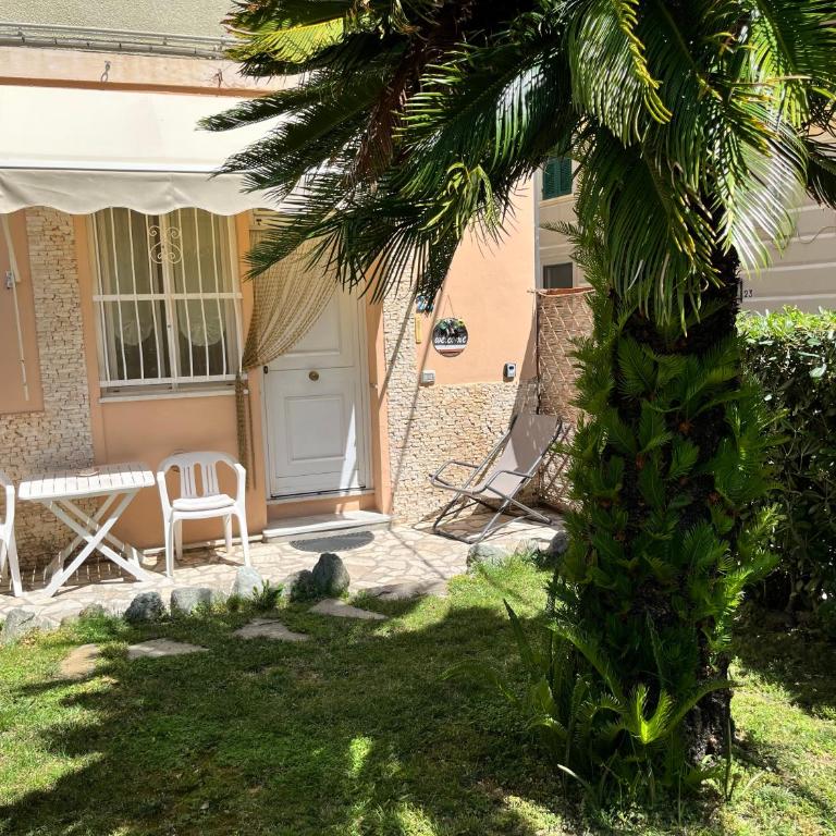 La Palma - Apartamento Estándar de 1 dormitorio - 1