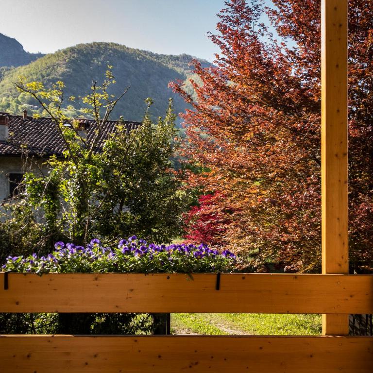 Agriturismo Deviscio - Camera Matrimoniale con Accesso Disabili - 2