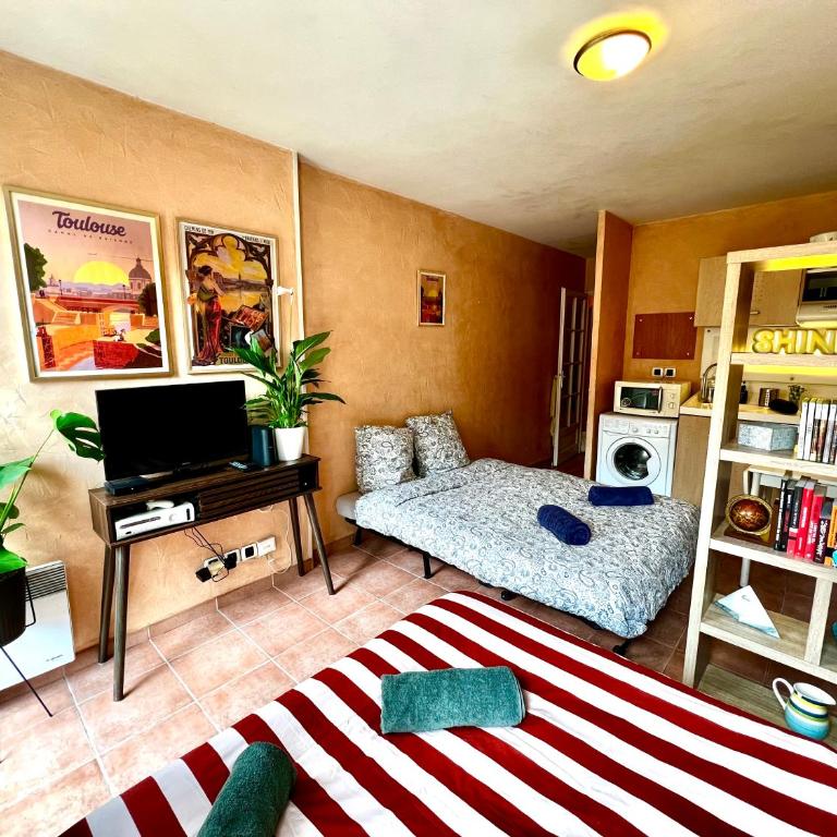 Escapade toulousaine, studio confort et bien situé - Apartment mit 1 Schlafzimmer - 2