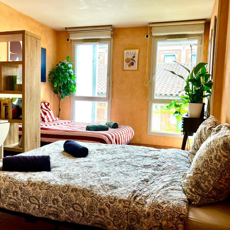 Escapade toulousaine, studio confort et bien situé - Apartment mit 1 Schlafzimmer - 13