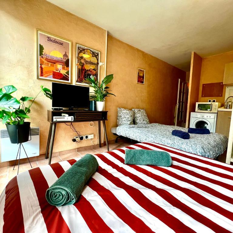 Escapade toulousaine, studio confort et bien situé - Apartment mit 1 Schlafzimmer - 1