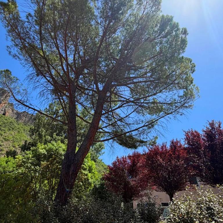 Vallon des Sources - Cure Digne - Appartement 1 Chambre - 28