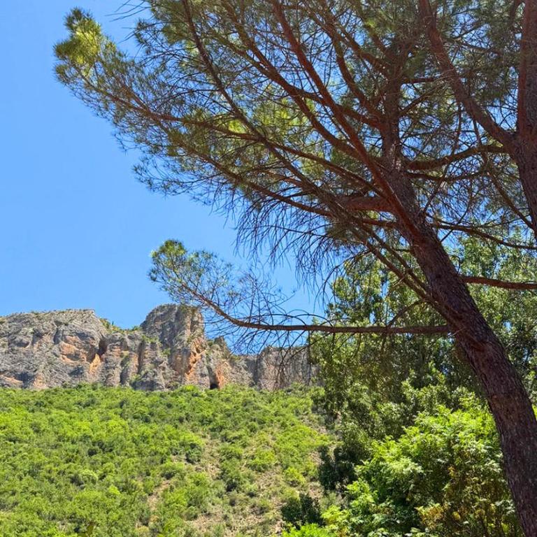 Vallon des Sources - Cure Digne - Appartement 1 Chambre - 30