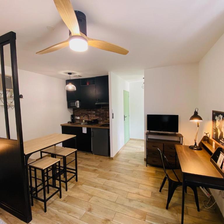 Grand Studio tout équipé - Quartier Lahitolle - Studio Supérieur - 4